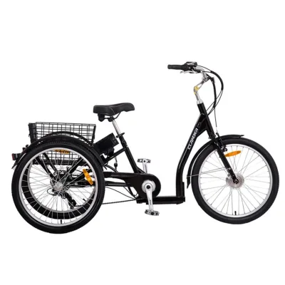 European Warehouse Poland Factory China 3 Wheel Adult Electric Cargo Tricycle Shopping Trike Supplier