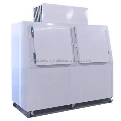 2 Sloping Doors Gas Station Bagged Ice Storage Box Freezer / Commercial Ice Freezer Outdoor Ice Merchandiser