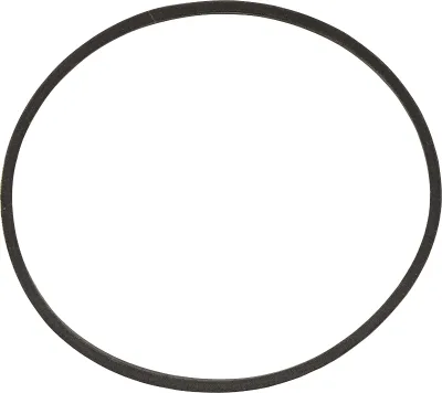 38174 Alliance Washer Flat Belt