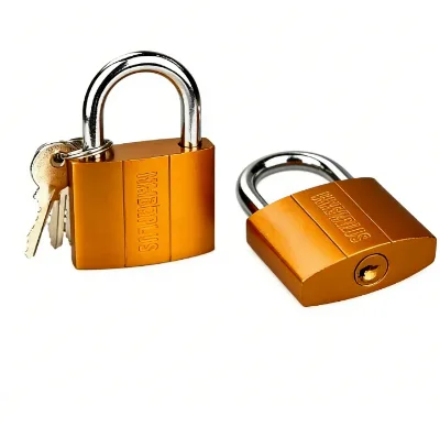 Heavy Duty Iron Padlock with Moon Keys, Weatherproof Outdoor Security Lock for Garage, Warehouse, School Locker