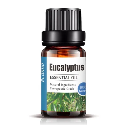 Main 10ml Therapeutic Grade 100% Natural Plant Slimming Eucalyptus Wholesale Essential Oil