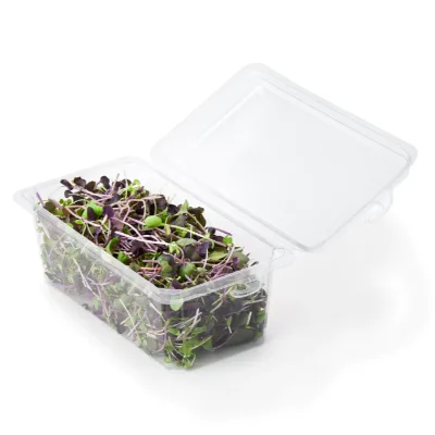 Custom Herb Packaging Hanging Clamshell Packaging for Fresh Herb