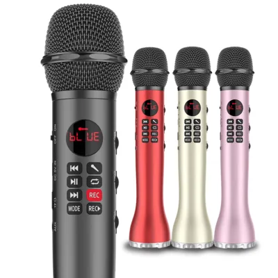 Dewant L-598 9W Rechargeable Mini Portable Multifunction Wireless Microphone Digital Echo Sound Voice Amplifiers With Speaker