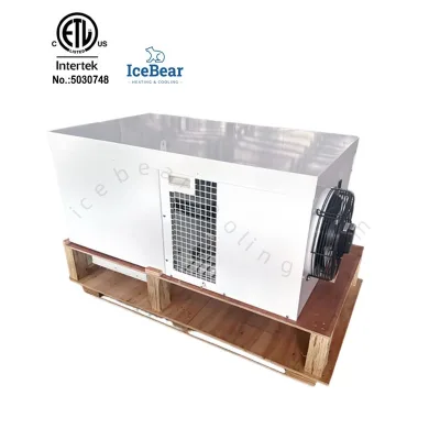High Efficiency Top Mounting Cooling Unit with Energy-Saving Compressor New Condition for Restaurant Cooling System