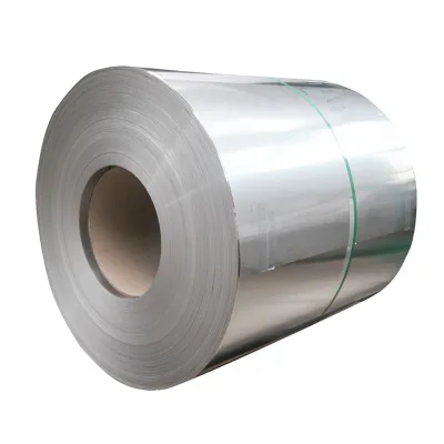 High Quality Delivery Fast in Stock Low Price High Anti-corrosion Powder Galvanized Steel Coil
