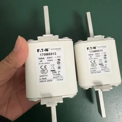 New Original 170M58134 Fuse Standard Package 2-Day Lead Time