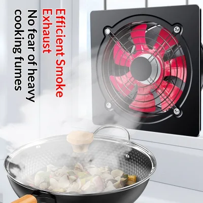DL 6 Inch Customized Processing Front and Rear Round Ventilation Fan 6-16 Inch Iron From China