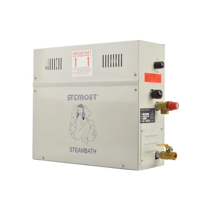 6KW 220V Steam Room Generator Electric Heating Steam Generator