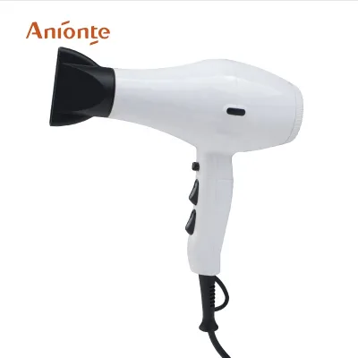 Function Ionic Hair Dryer