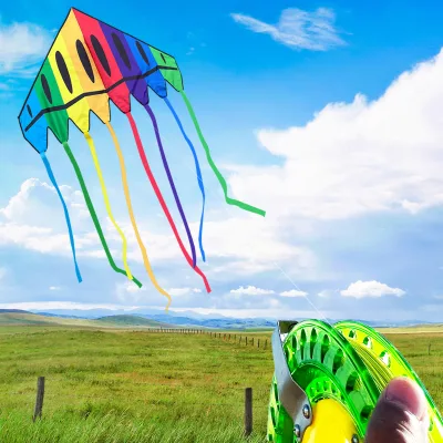 Delta Kite