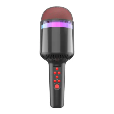 Portable Bluetooth Karaoke Speaker with Adjustable Bass and Treble, Wireless Microphone Included for Outdoor Parties