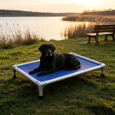 Hot Seller Simple Design Waterproof Medium Aluminum Indoor Elevated Dog Bed Pet Marching Bed