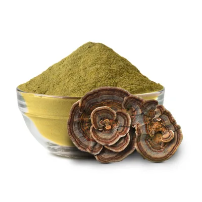 Turkey Tail Mushroom Fruiting Body & Mycelium Extract Immune & Brain Health Mushrooms Supplement