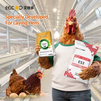 5% Poultry Layer Premix Brooding Phase Formula with Enhanced Vitamins & Minerals for Sustained Egg Production