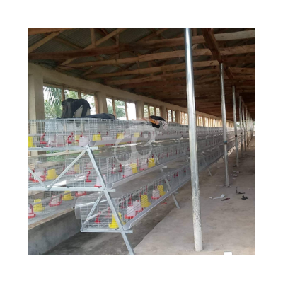 Small Cages for Chickens Automatic Cages Steel Chick Cage