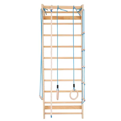Kids Playground Indoor Climbing Wall with Wooden Swedish Ladder Gym Rings Slide for Kids Play Gym Toddler Activity Room
