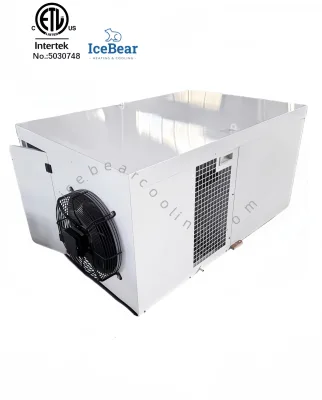 ETL / UL 220V Roof Mounting Monoblock Walk-in Cold Room Condensing Unit Compressor for Fruit Shops or Slaughter Houses Storage