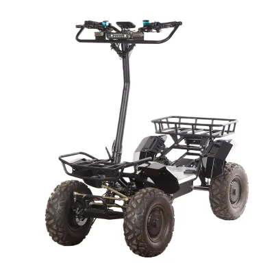 New Design Hot Sales 4000W Factory Direct Cheap Economic 60V 30ah High-Quality Electric Mobility Scooter for Elderly Adult