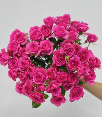 Hot Sale Rose Red Sophie Baby Multi-headed Rose Festive Flower Decoration with Flowers