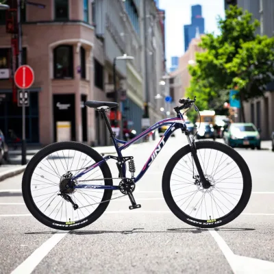 Wholesale JINT 29" Soft Tail Mountain Bike Adults Steel Variable Speed 9-12 Speed Disc Braking High Speed