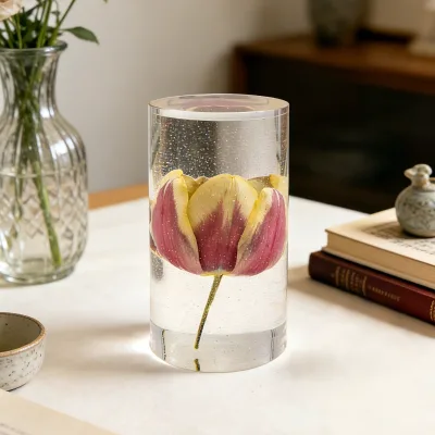 Tulip Preserved Flower Resin Cylindrical Ornament Transparent Glitter Desktop Decoration Paperweight