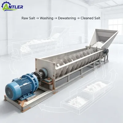 High Productivity Screw Salt Washing Cleaning Machine Sea Salt Processing Equipment