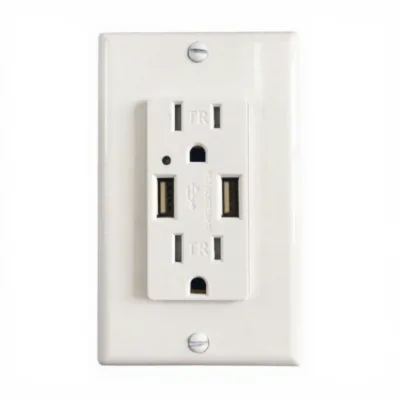 USB Charger Wall Outlet USB Receptacle With 2 Type a USB Ports 4.2A 15 Amp for Home Office Use