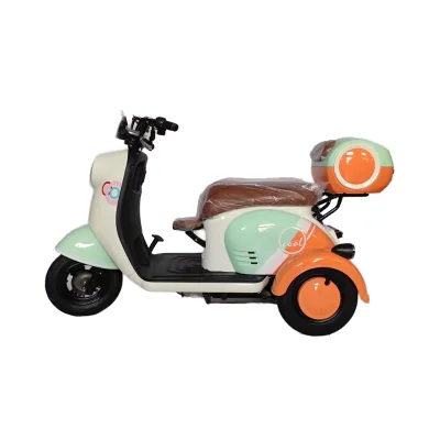 2025 New Family Use China Price Smart Low Speed Mini 3 Wheel Electric Bike with 500W Motor 48V/60V for Adults