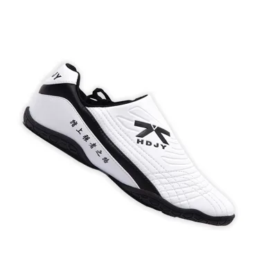 Sample Free Shipping Factory Direct Sale Fashionable Martial Arts Shoes Taekwondo Shoes on Sale
