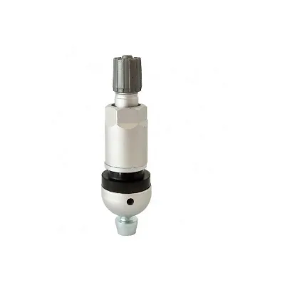 Tpms Tubeless Tire Valve Aluminum Tire Pressure Sensor Tire Valve Stem TPMS-02