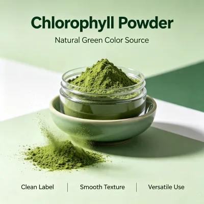 Chlorophyll Powder Bulk 100% Pure VeganChlorophyll Powder Extract Food Grade Superfood Ingredient Natural Pigment