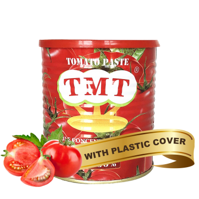 Halal Food Tin Tomato Sauce Salsa Brand Pizza Fries Seasoning Quality Delicious Taste Plastic Canned Tomato Paste Sauce in