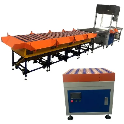 Applicable Logistics Sorting Machine Machine Sorted Parcel Logical Sorter E-Commerce Industries Featuring Product Conveyors