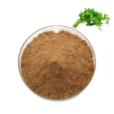 Natural Parsley Extract Cilantro Extract Parsley Leaf Extract Powder