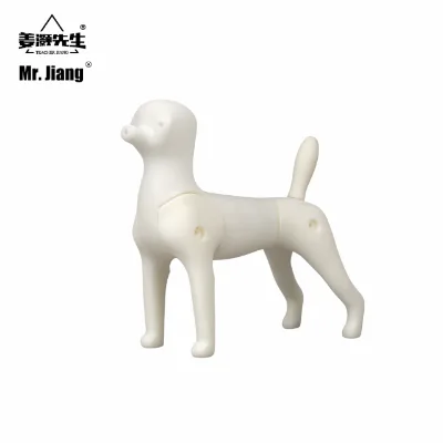 Mr.jiang Multi-purpose Small Dog Model Model Pet Teacher Beauty Modeling Practice Dog