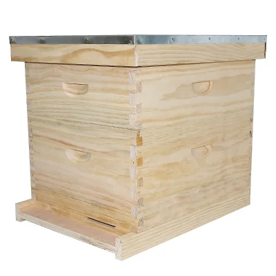 Bee Hive 2 Layer Beekeeping Langstroth Best Quality Fir Hive Box