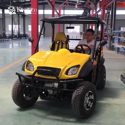 Mini Electric 4x4 UTV with 4 Stroke Engine EEC/COC Compliance
