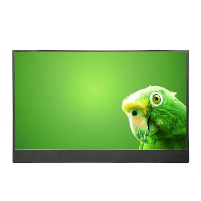 Plastic Case IPS Panel 15.6inch 1080P Portable Type C Monitor With Best Price