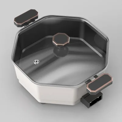 Large Capacity Multi-Functional Cooking Pot Dezin Electric Hot Pot