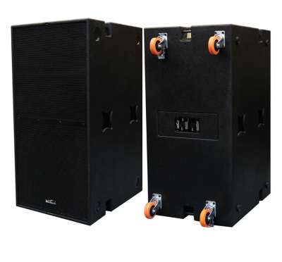 Professional Audio 18 Inch Subwoofer