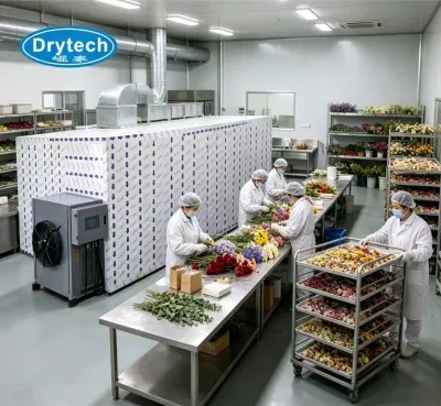 Energy Saving Dried Flower Heat Pump Drying Machine Commercial Flower Kiln