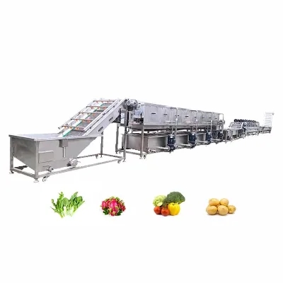 Automatic Fruit Vegetable Cleaning Line Carrot Potato Sorter Spray Rinsing Tunnel Motor Core Component for Corn Water Raw