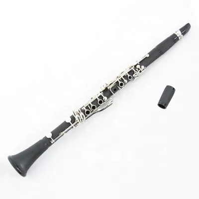 Delicate French System Clarinet Woodwind Musical Instrument with BB Tone