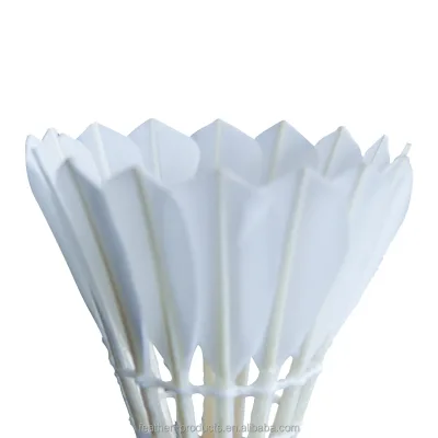 OEM Strong Durability Flight Stable Customize Shuttles As Victor Master Shuttlecock