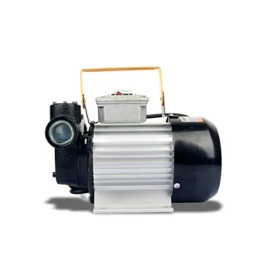 Cheap Price 110V/220V Fuel Dispensing Pump
