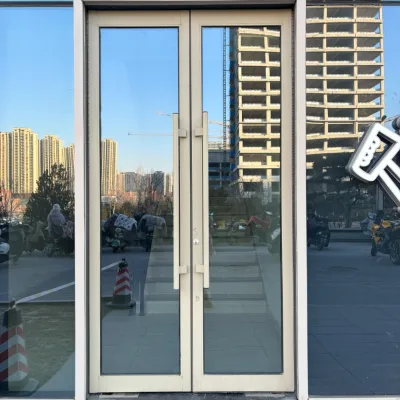 Shopping Mall Entrance Panic Device Escape Doors Commercial Storefront Glass Door