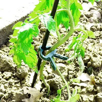 20 Pcs Plant Clips for Supporting Plants Gentle Durable Plant Support Clips Set