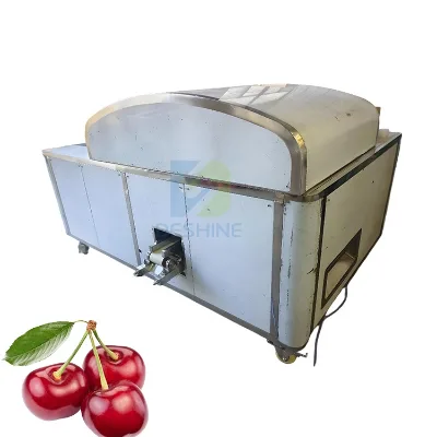 Automatic Cherry Pitting Machine Cerise Kernel Removing Machine