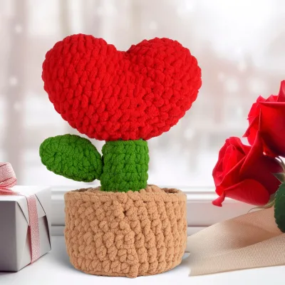 New DIY Crochet Kit for Beginners Crochet Plant Flower Pot Kit with Detailed Tutorials Crochet Kit