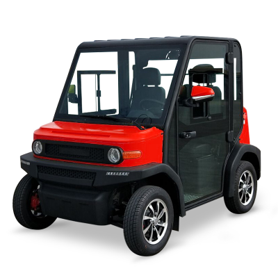 Can Carry 2 Passengers Equipped with 60V4KW Power System Electric Vehicle